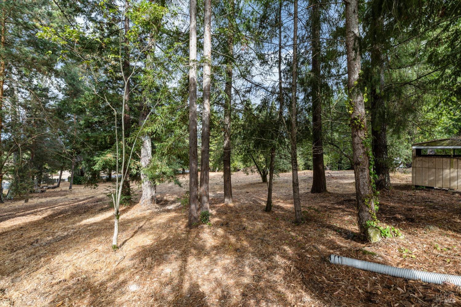 4401 Gravenstein Hwy N