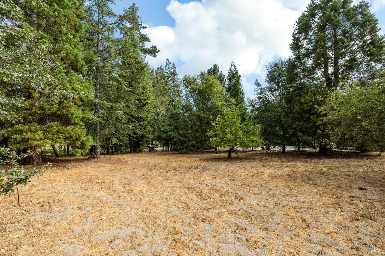 4401 Gravenstein Hwy N