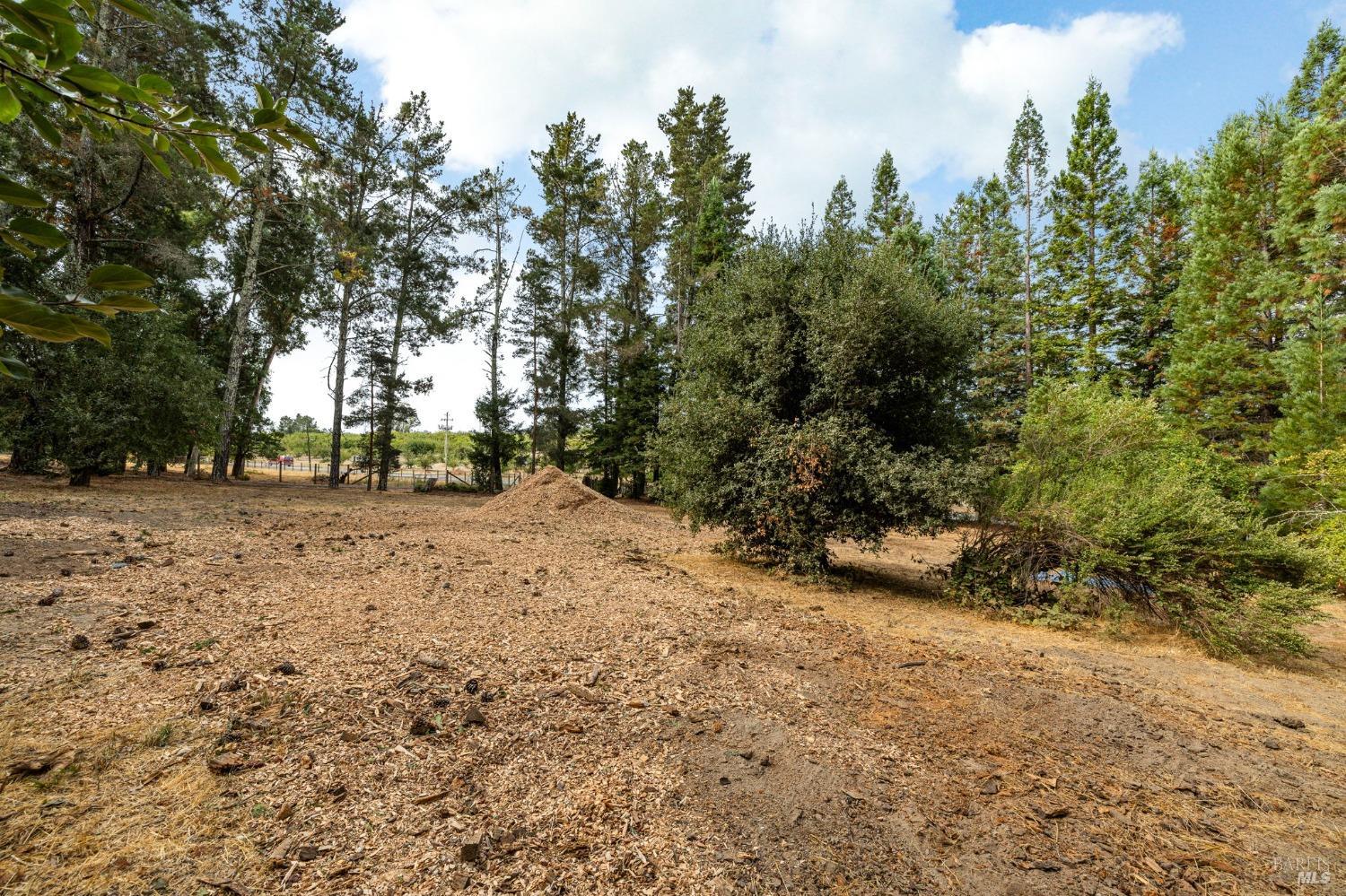 4401 Gravenstein Hwy N