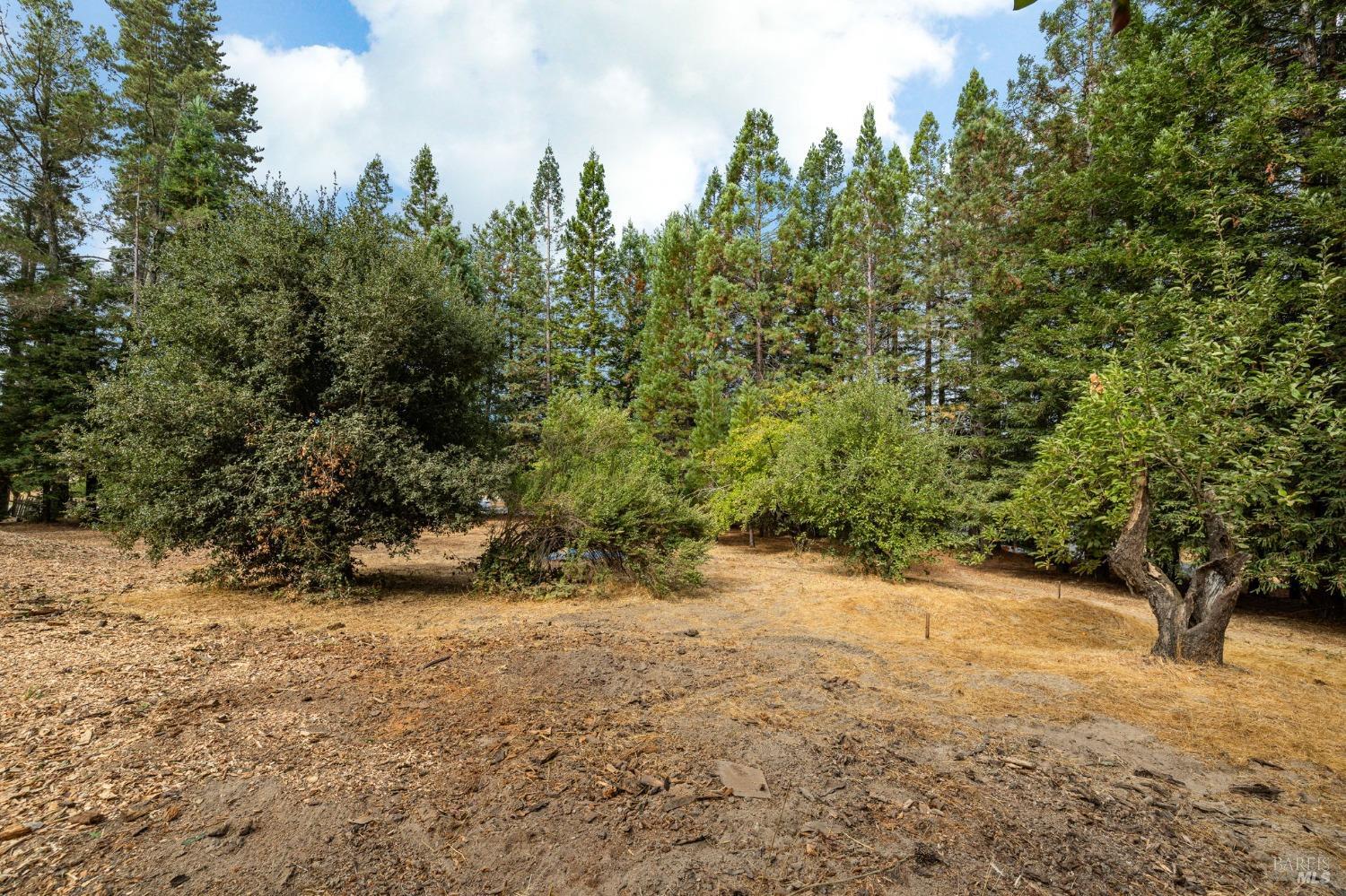 4401 Gravenstein Hwy N