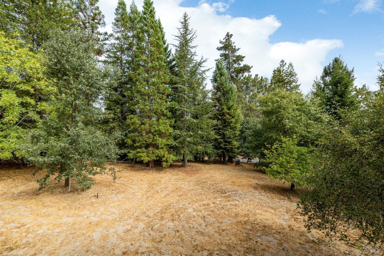 4401 Gravenstein Hwy N