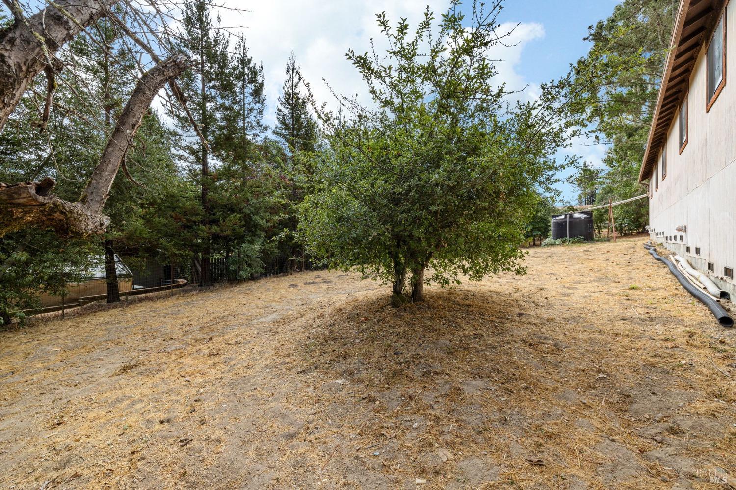 4401 Gravenstein Hwy N