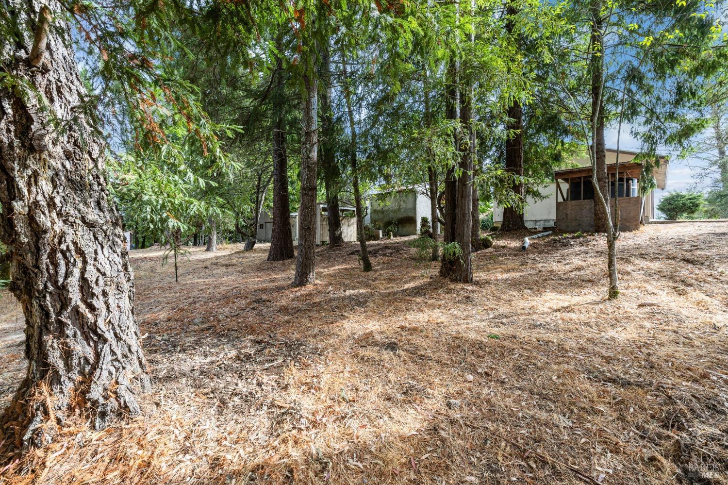 4401 Gravenstein Hwy N