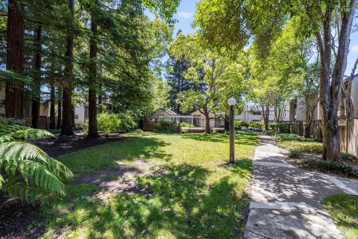 1909 Windmill Circle