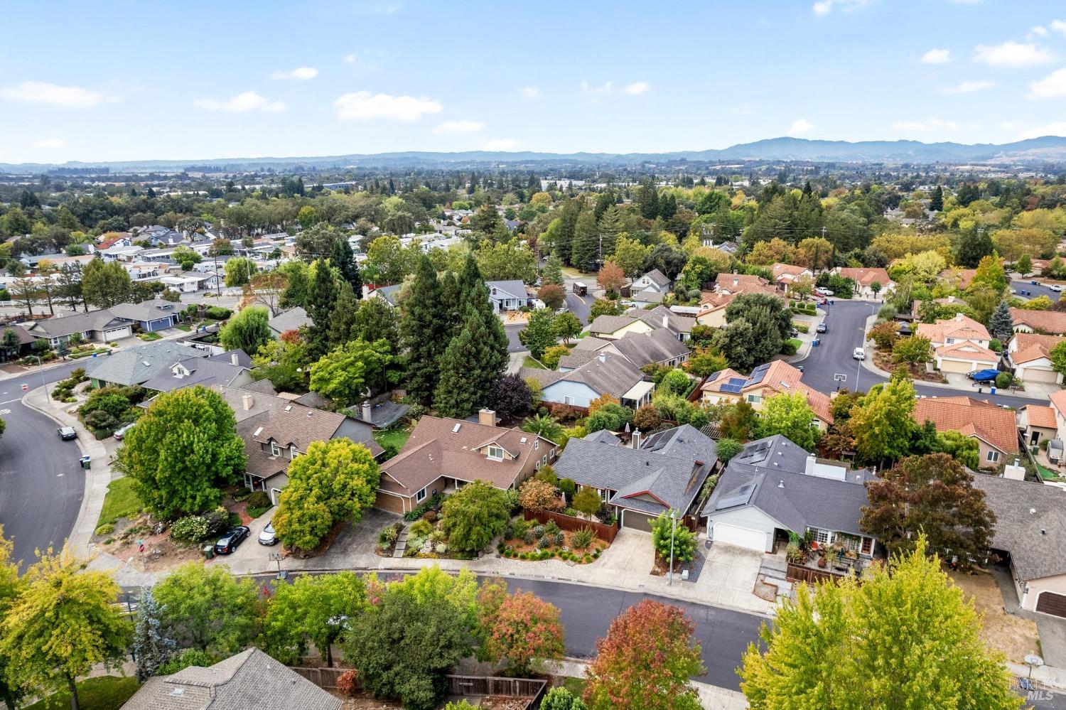 7905 Winter Born Way