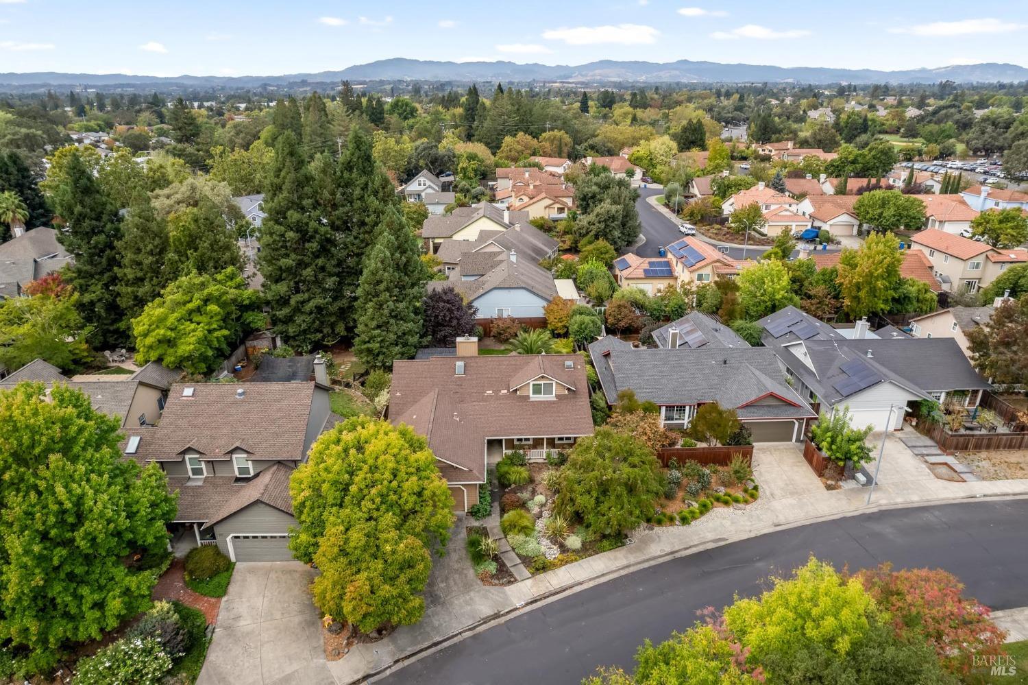 7905 Winter Born Way