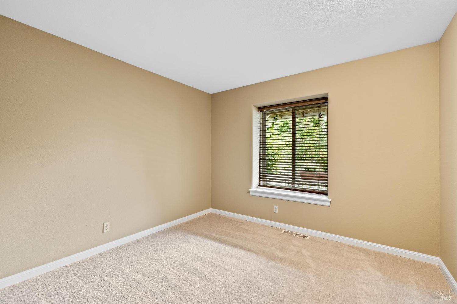 7905 Winter Born Way