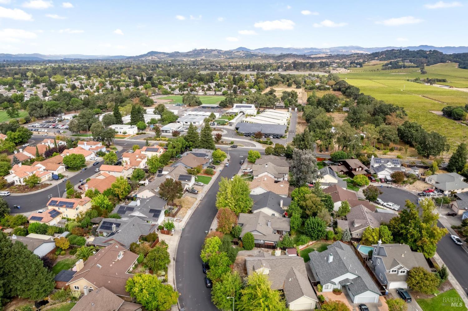 7905 Winter Born Way