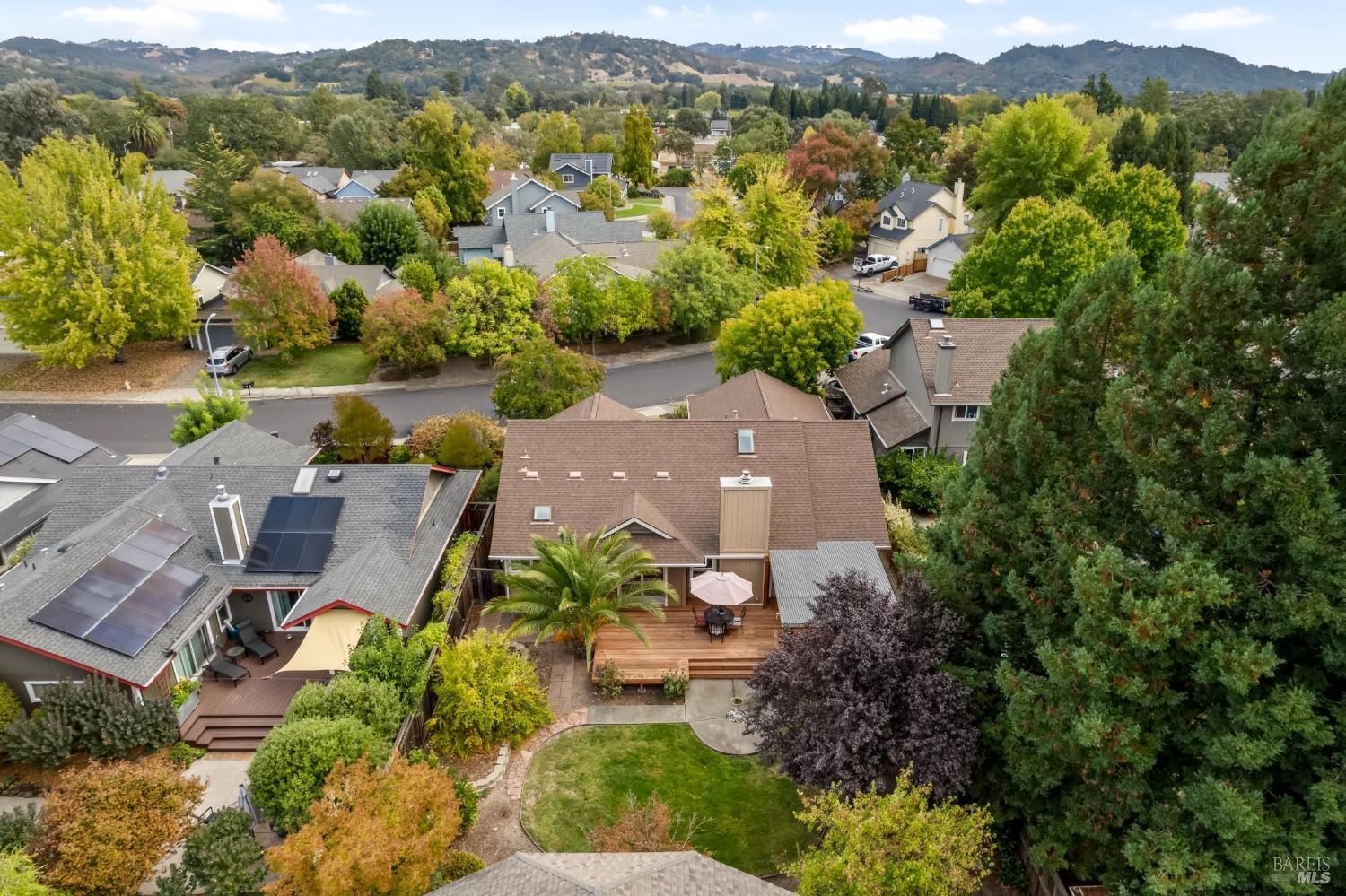 7905 Winter Born Way