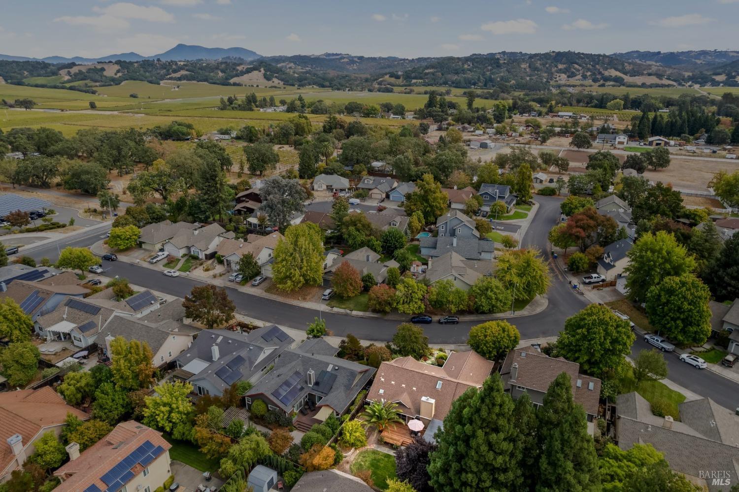 7905 Winter Born Way