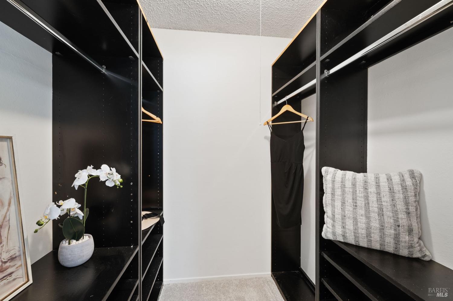 1030 Camino Coronado