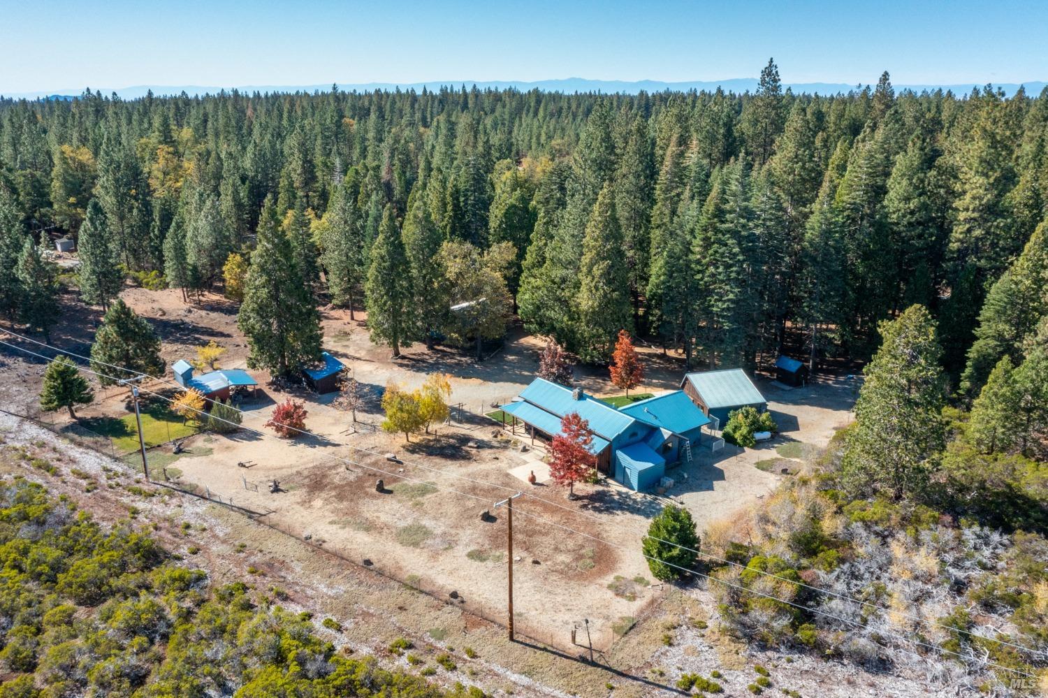 8067 Sky Tree Ln