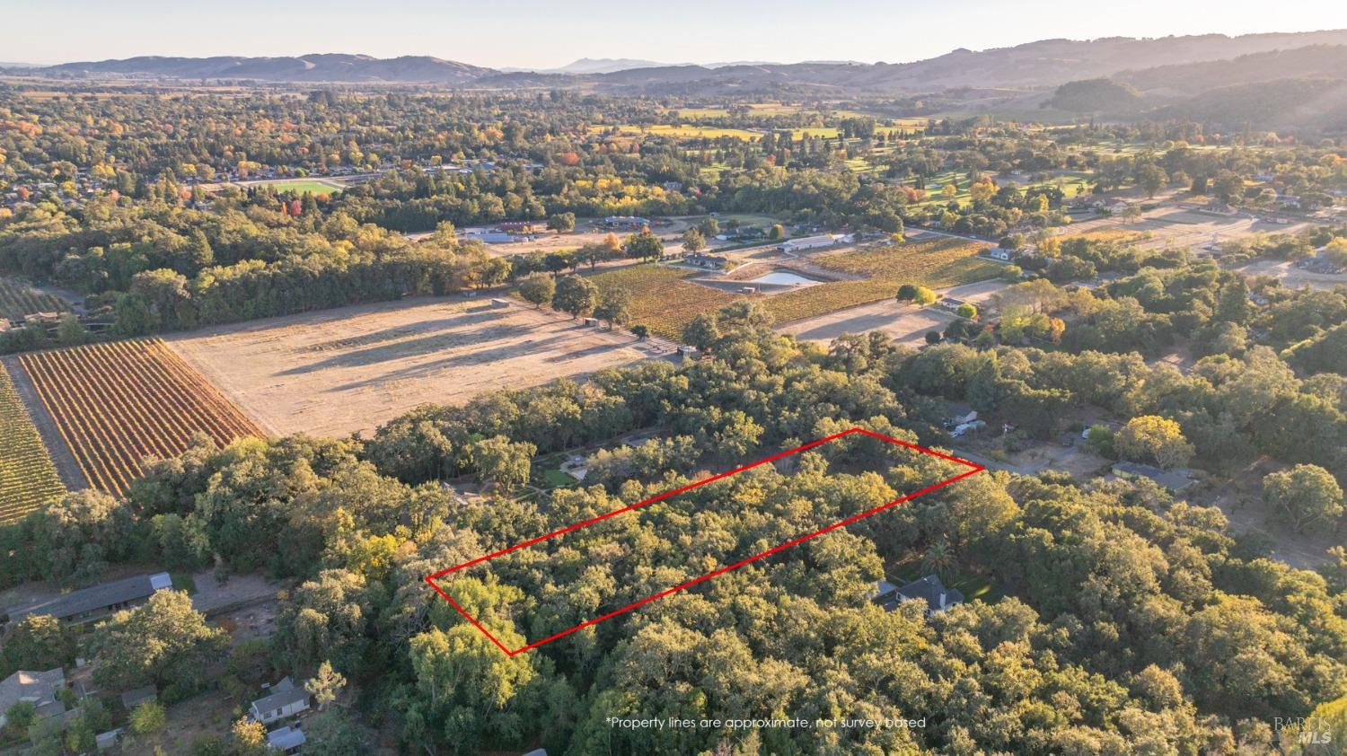 17035 Summer Meadow Ln