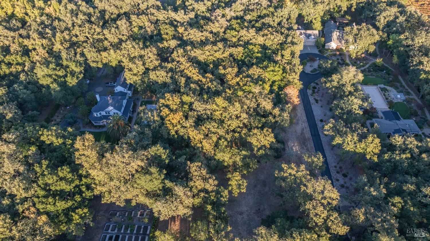 17035 Summer Meadow Ln