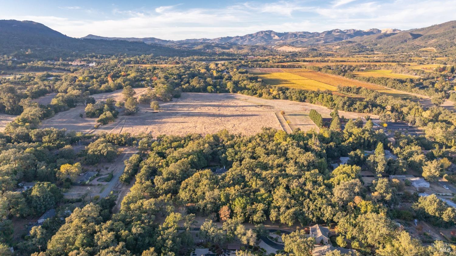 17035 Summer Meadow Ln