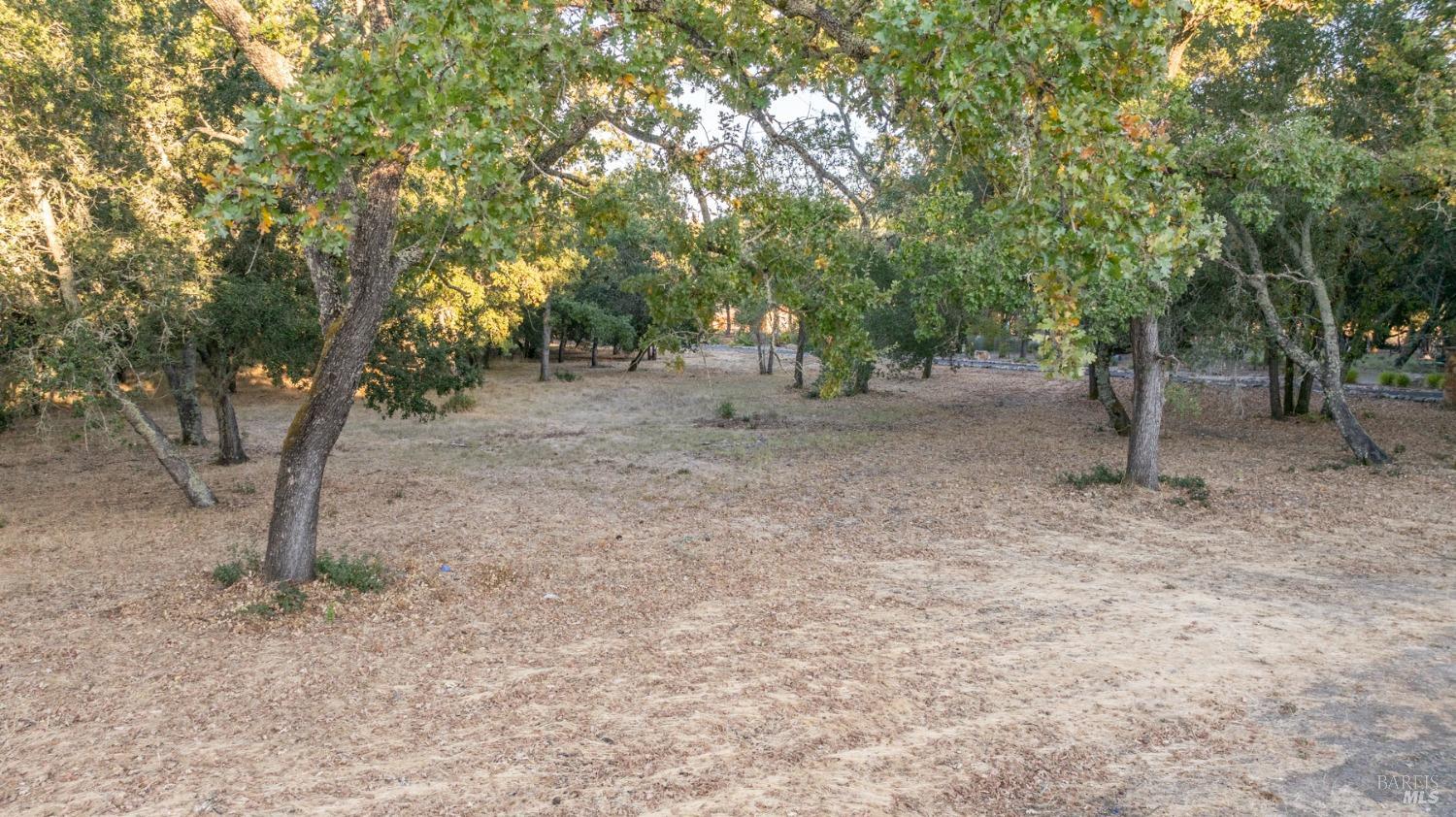 17035 Summer Meadow Ln