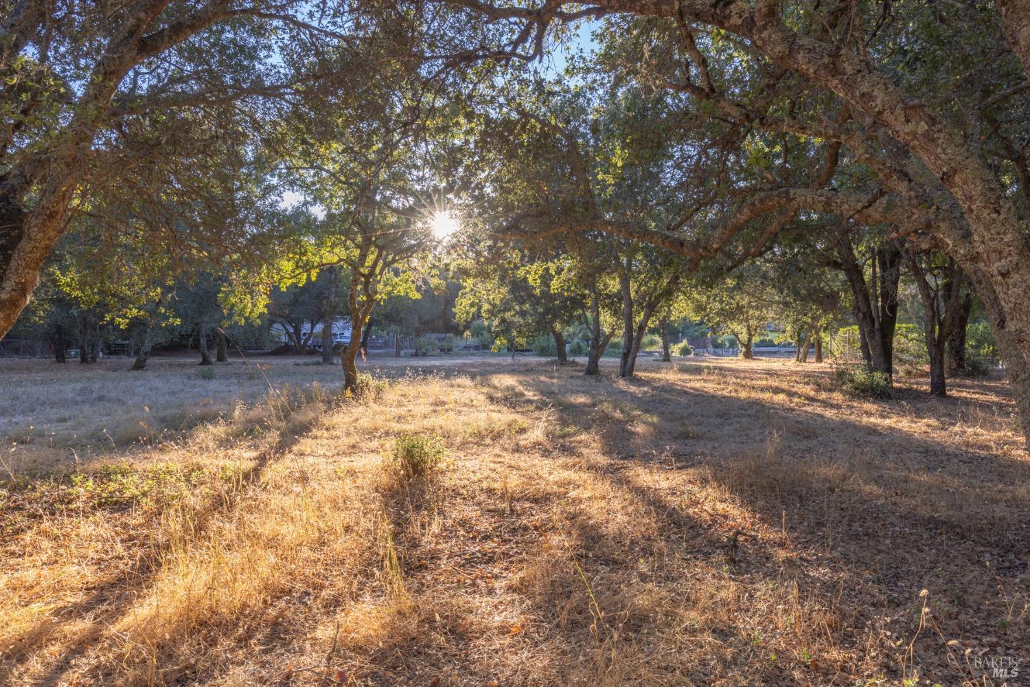 17035 Summer Meadow Ln