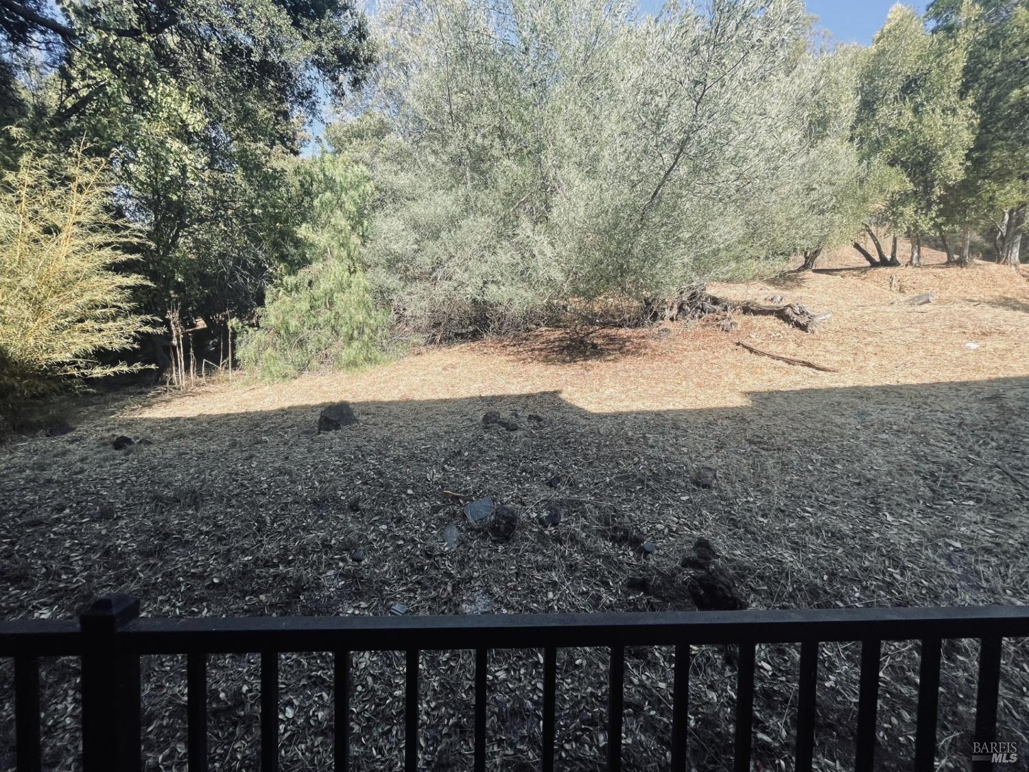 20 Luna Ln #1