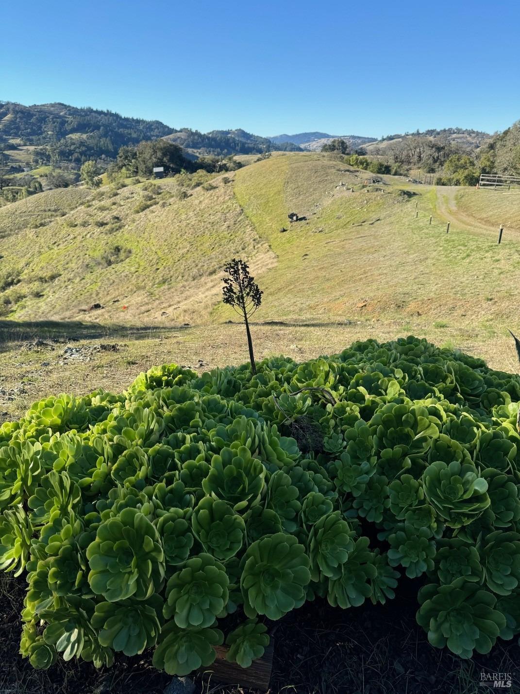 34996 Highway 128 Hwy