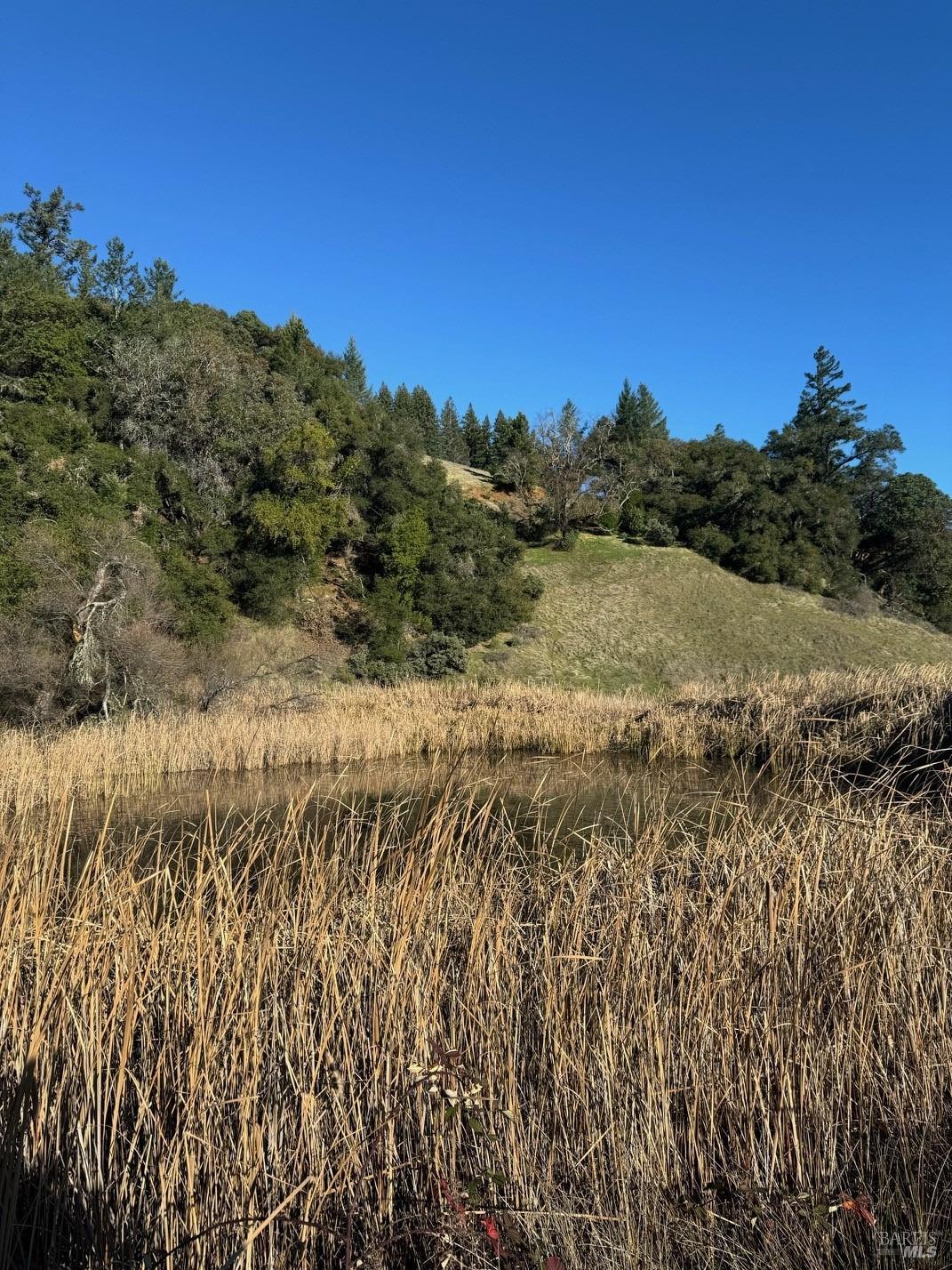 34996 Highway 128 Hwy