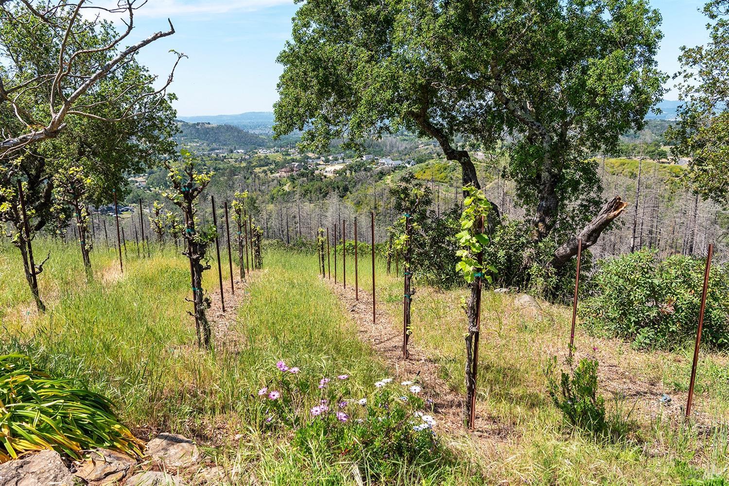 1888 Crystal Springs Court