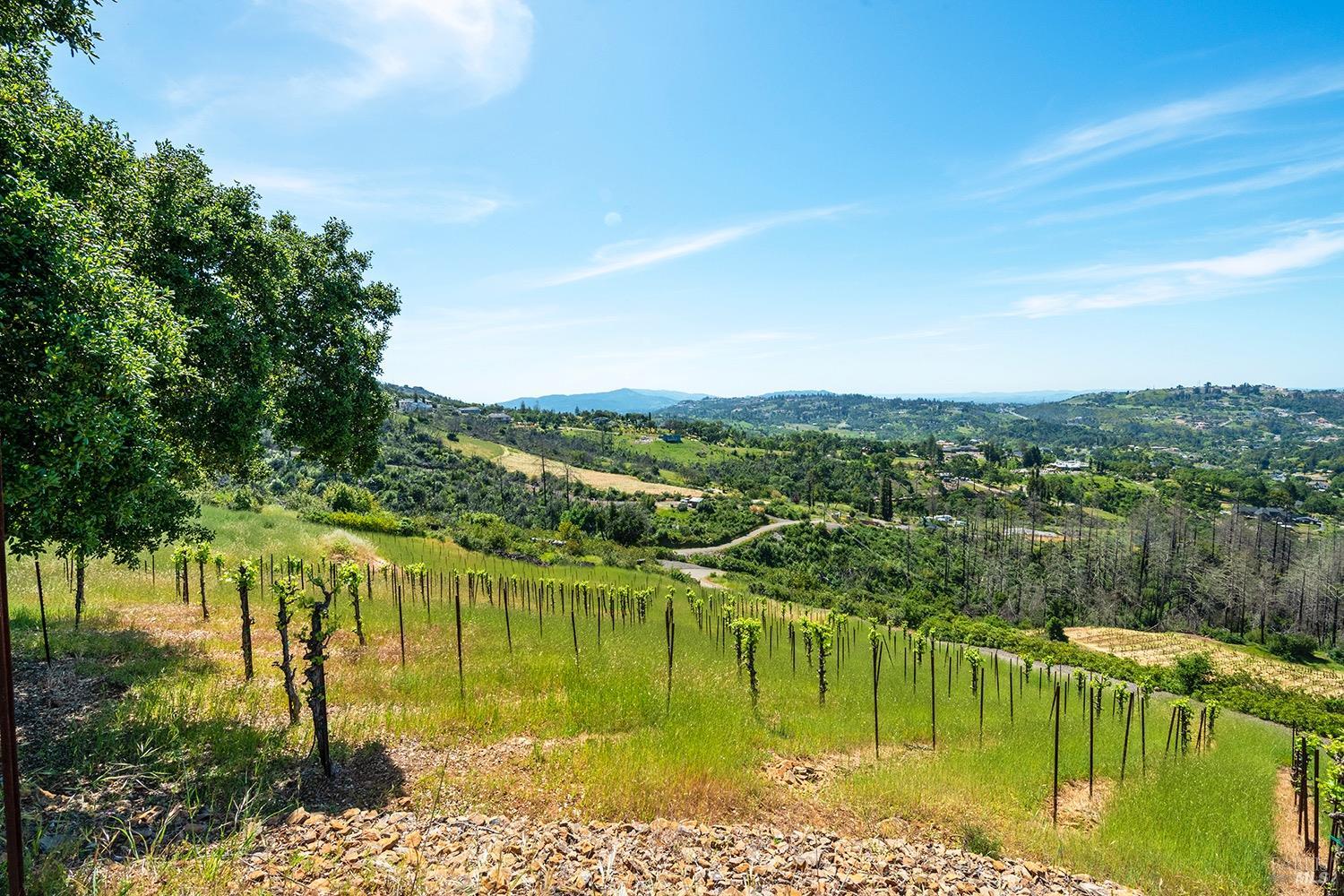 1888 Crystal Springs Court