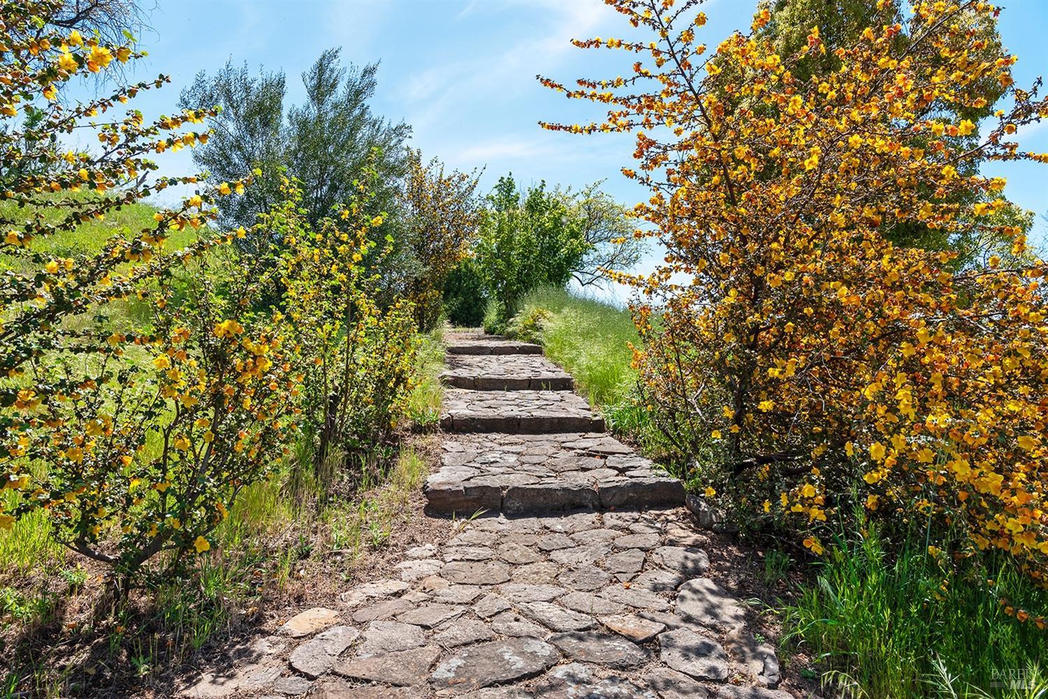 1888 Crystal Springs Court