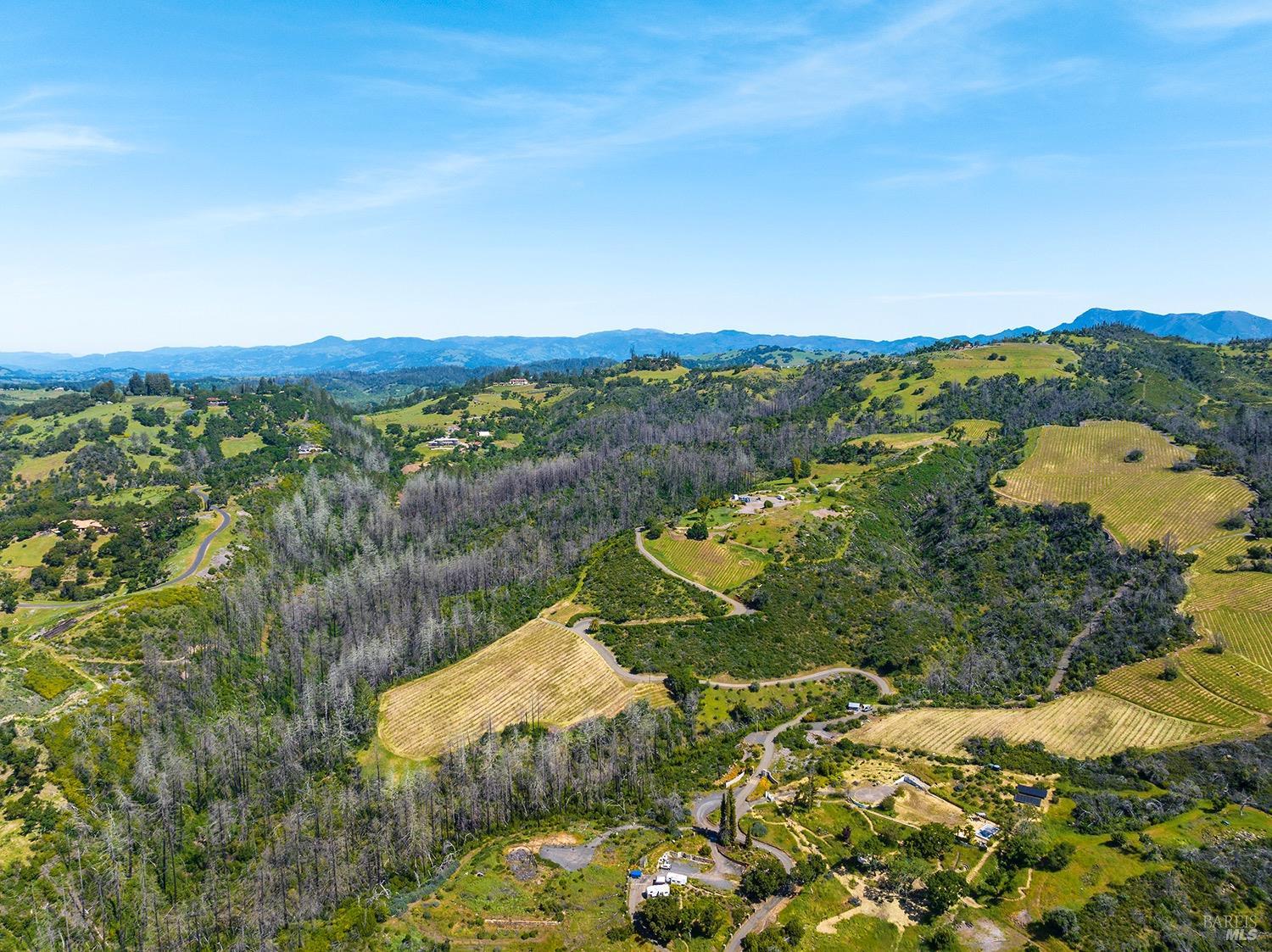 1888 Crystal Springs Court