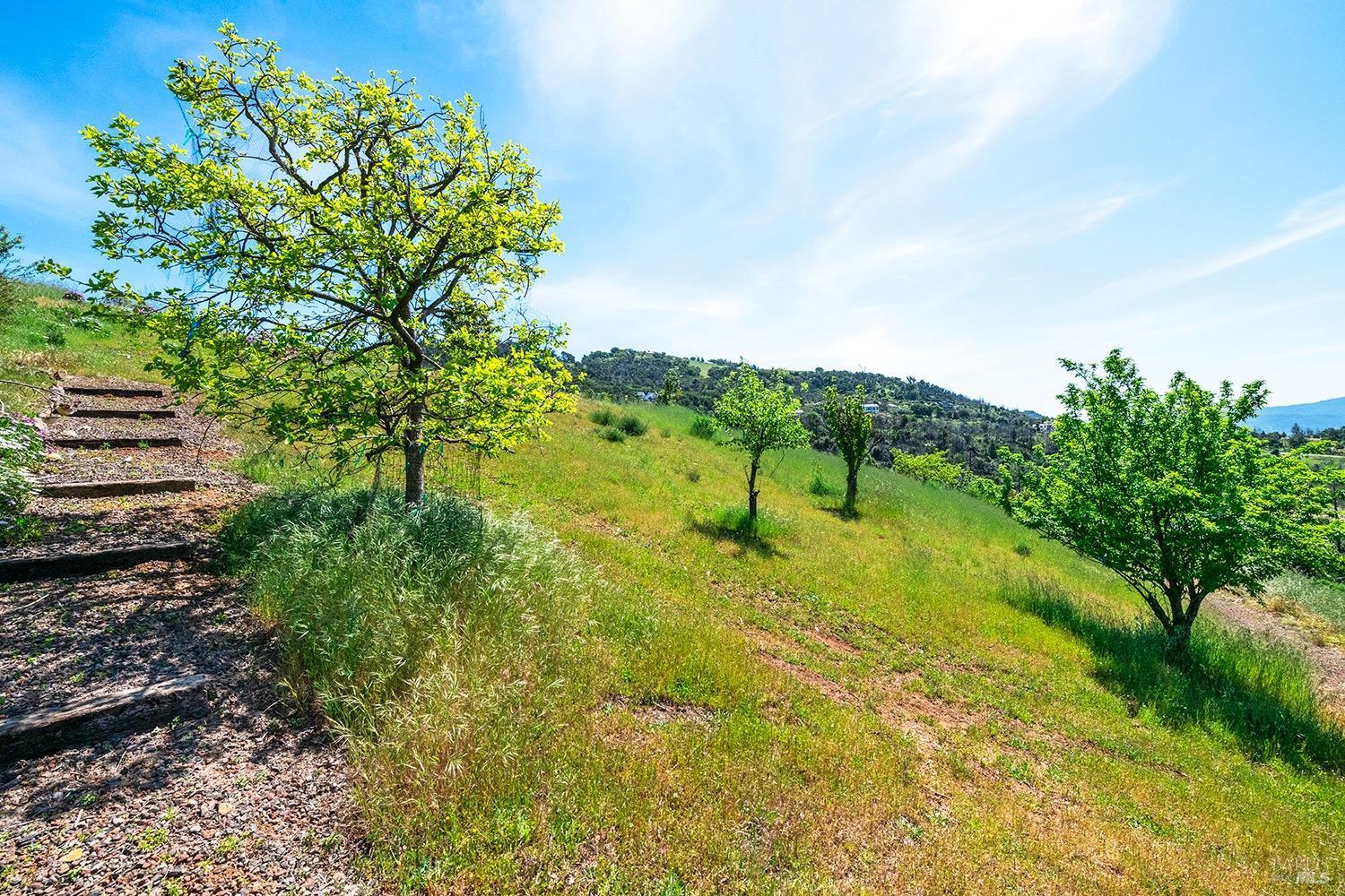 1888 Crystal Springs Court