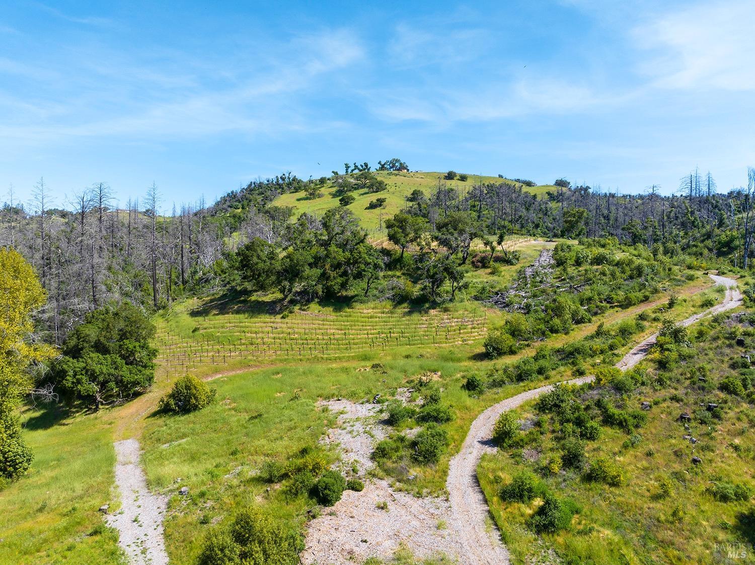 1888 Crystal Springs Court