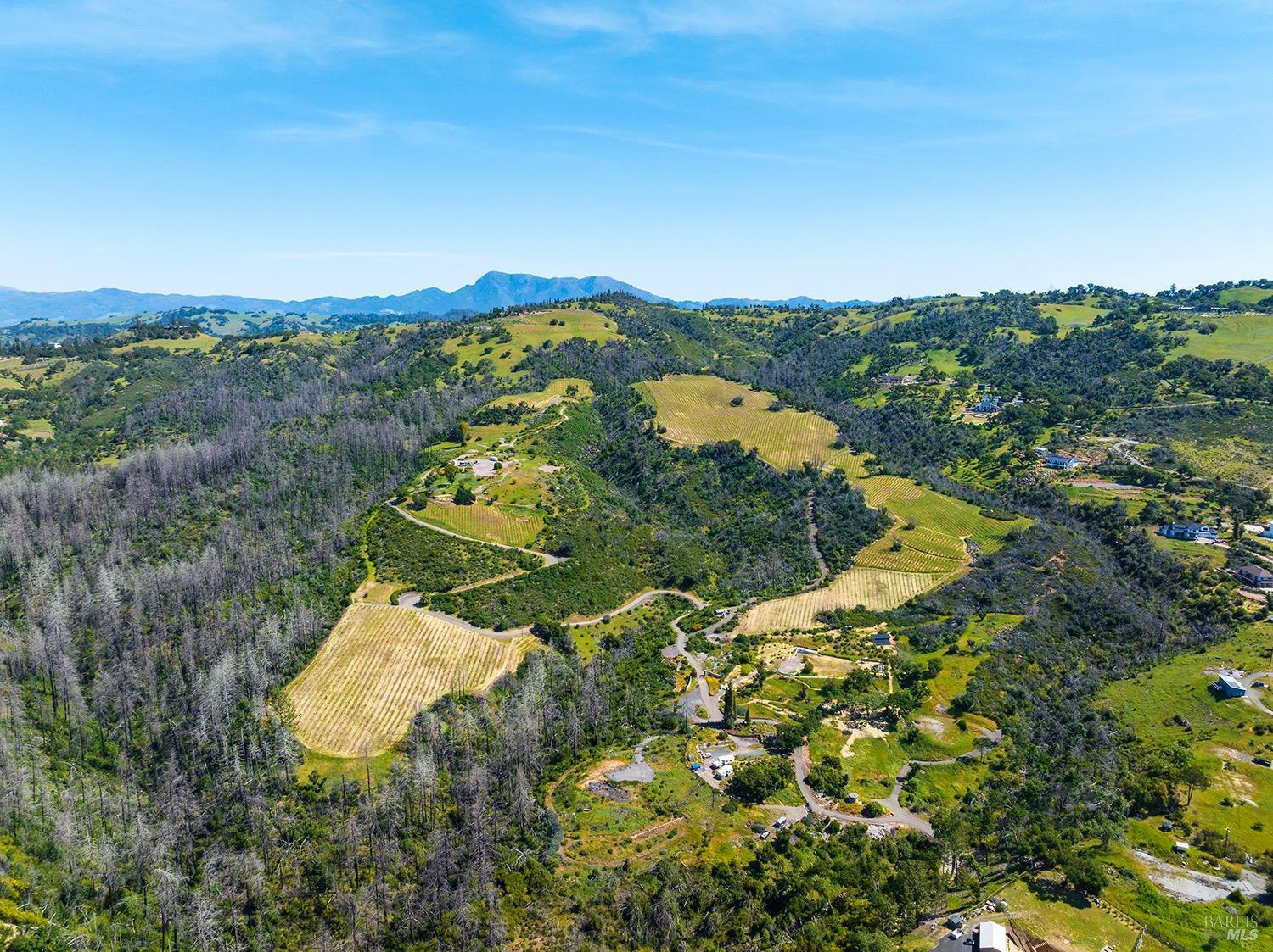 1888 Crystal Springs Court