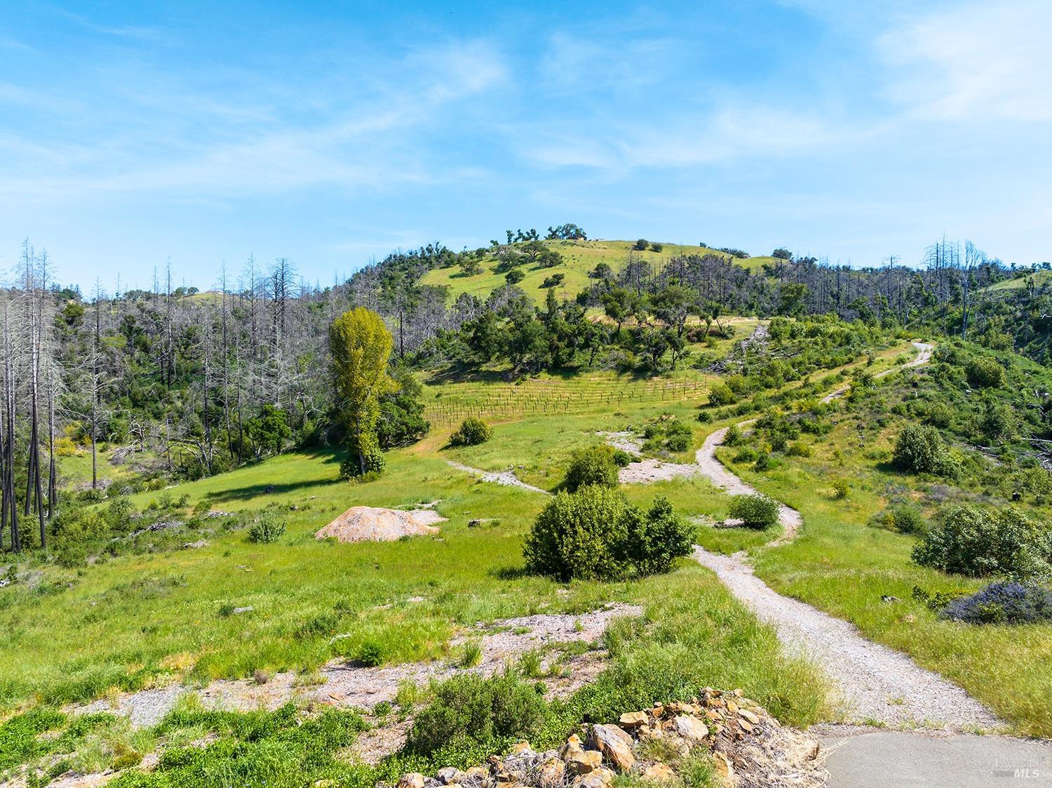 1888 Crystal Springs Court