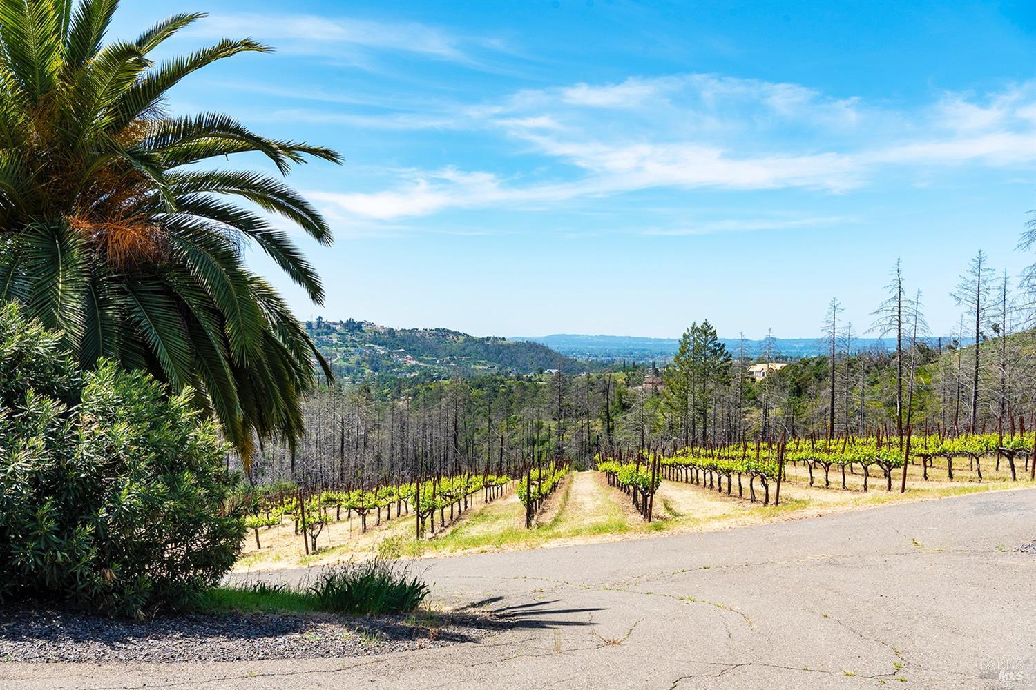 1888 Crystal Springs Court