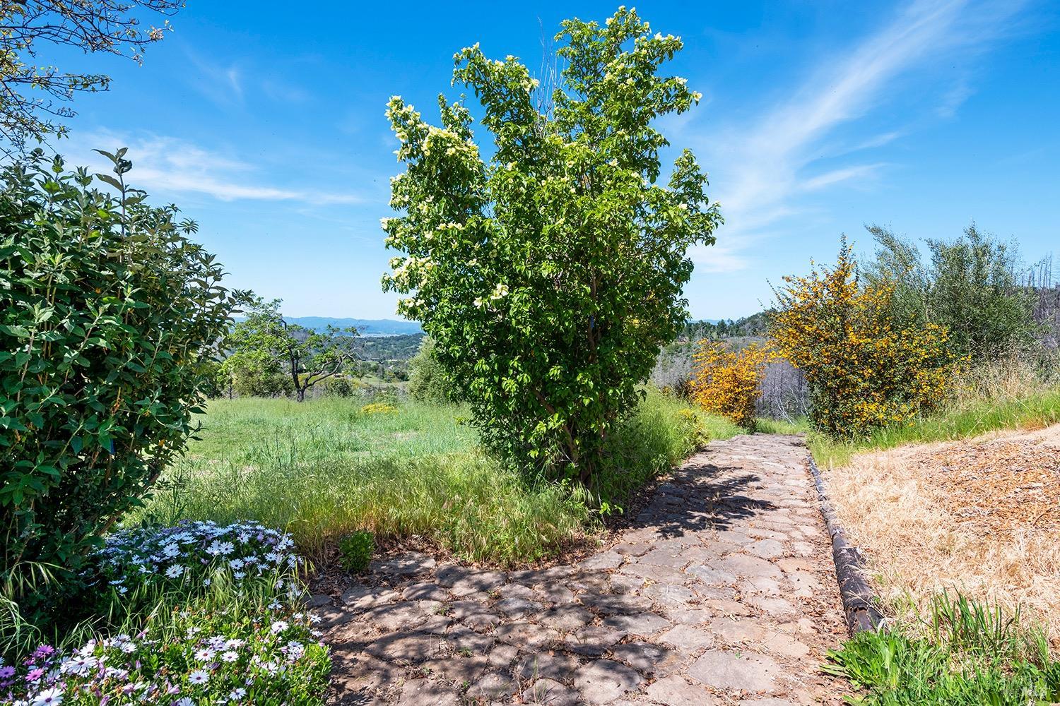 1888 Crystal Springs Court