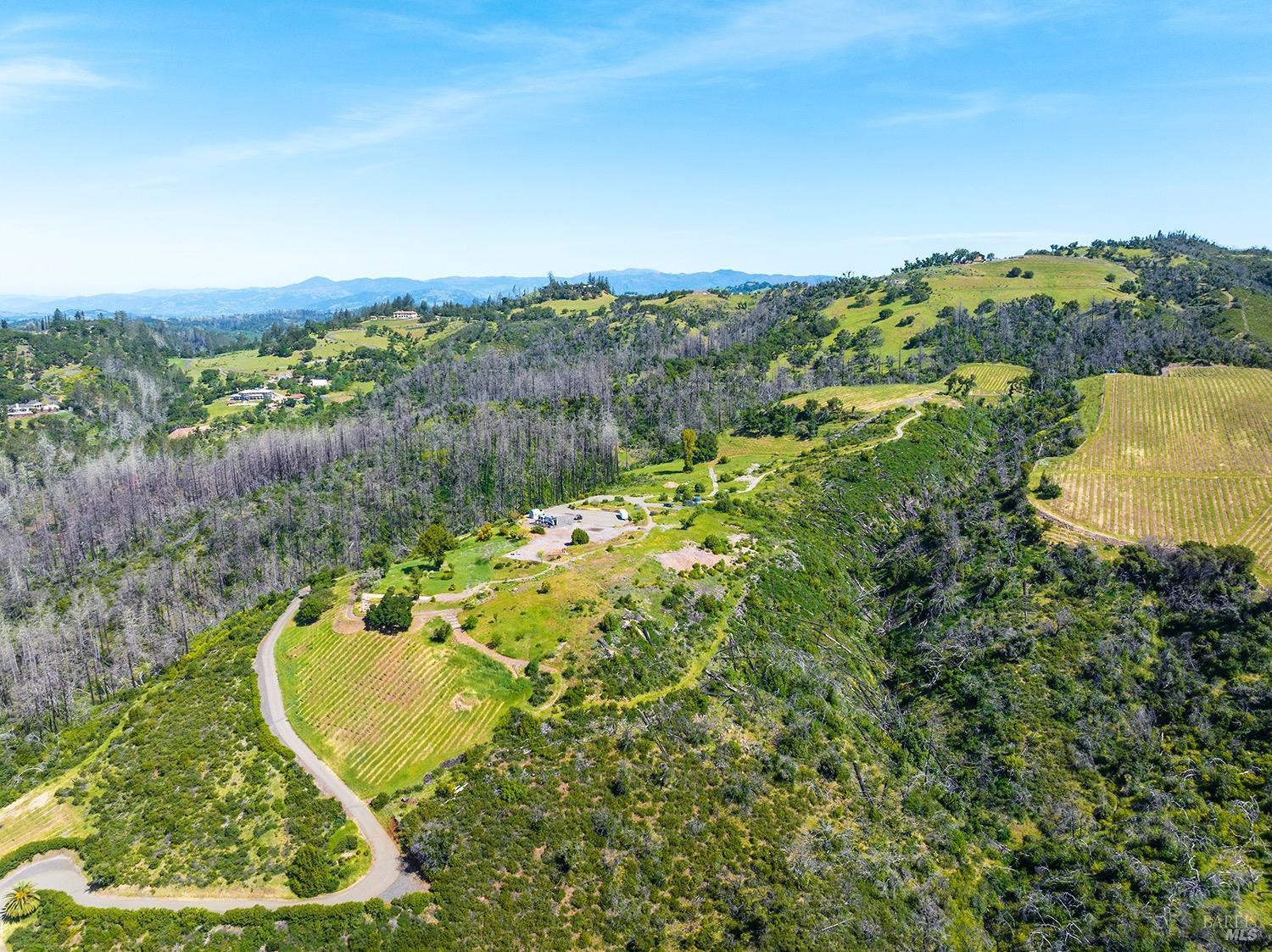 1888 Crystal Springs Court