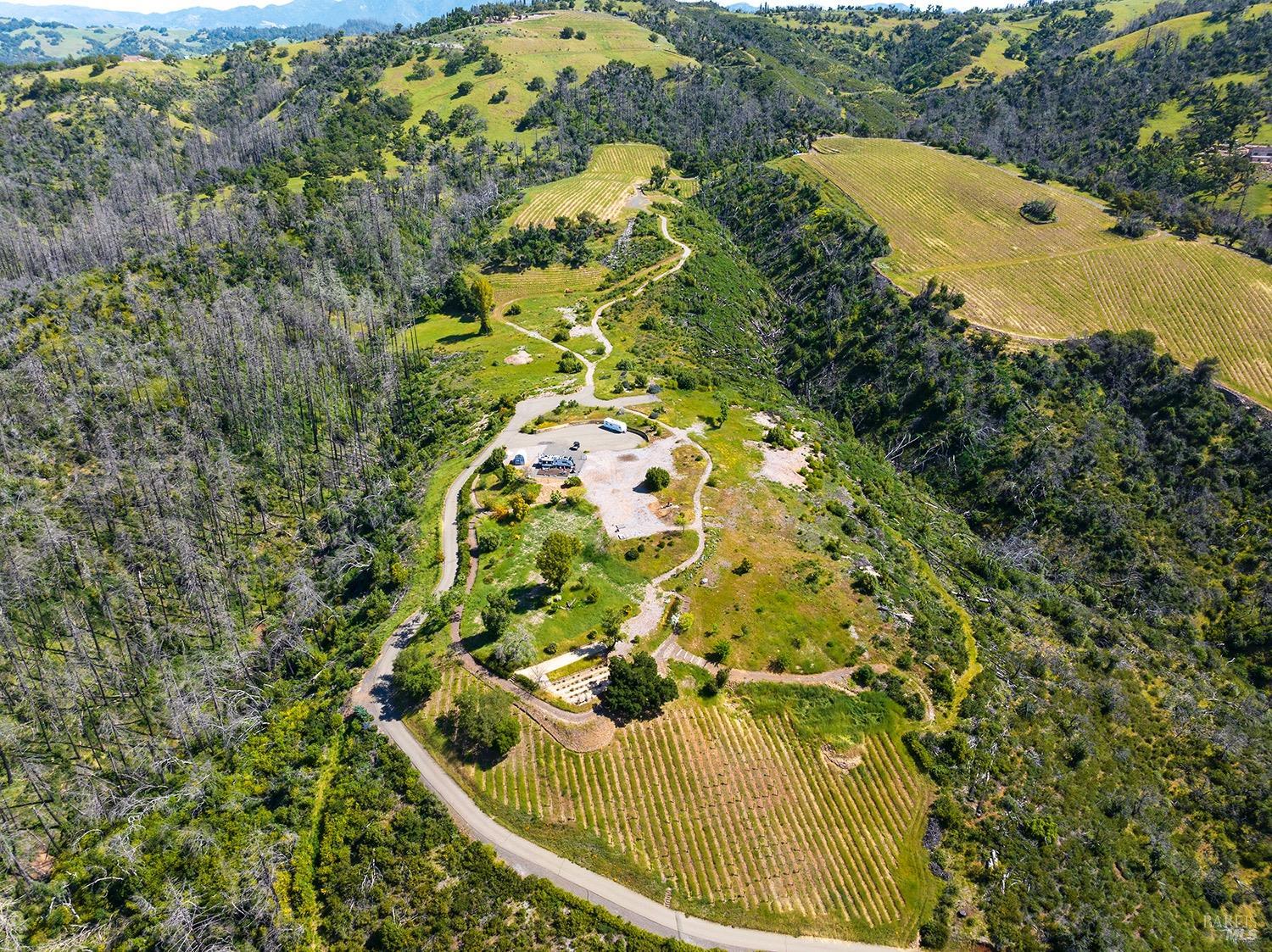 1888 Crystal Springs Court