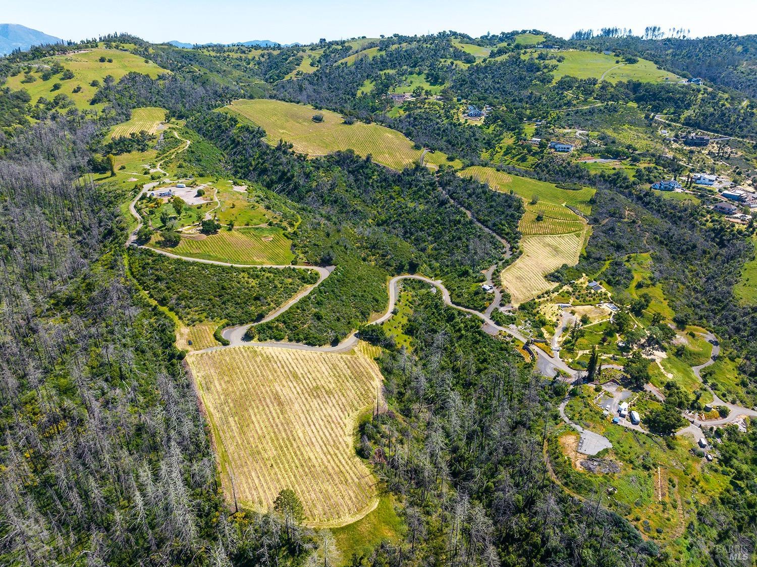 1888 Crystal Springs Court