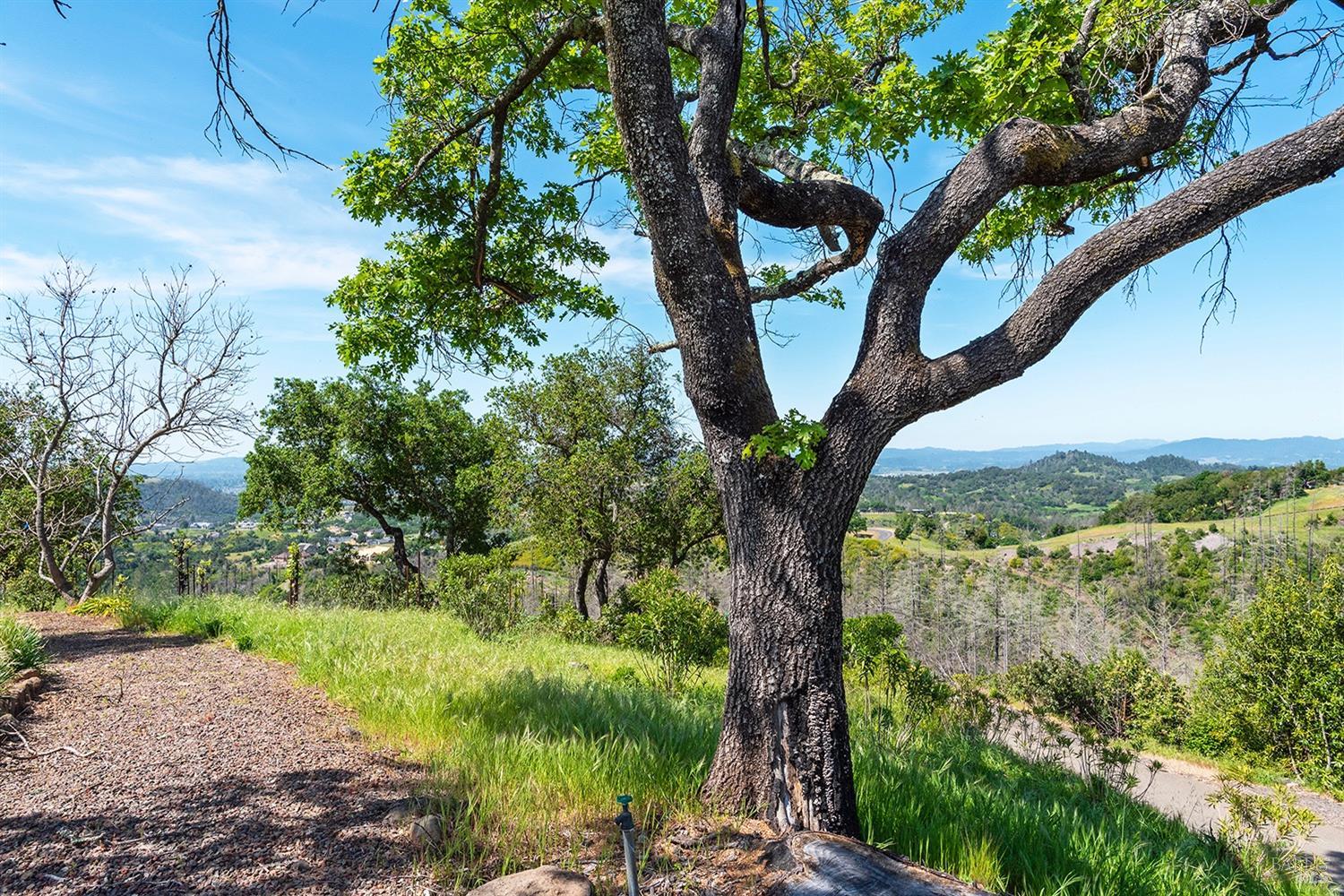 1888 Crystal Springs Court
