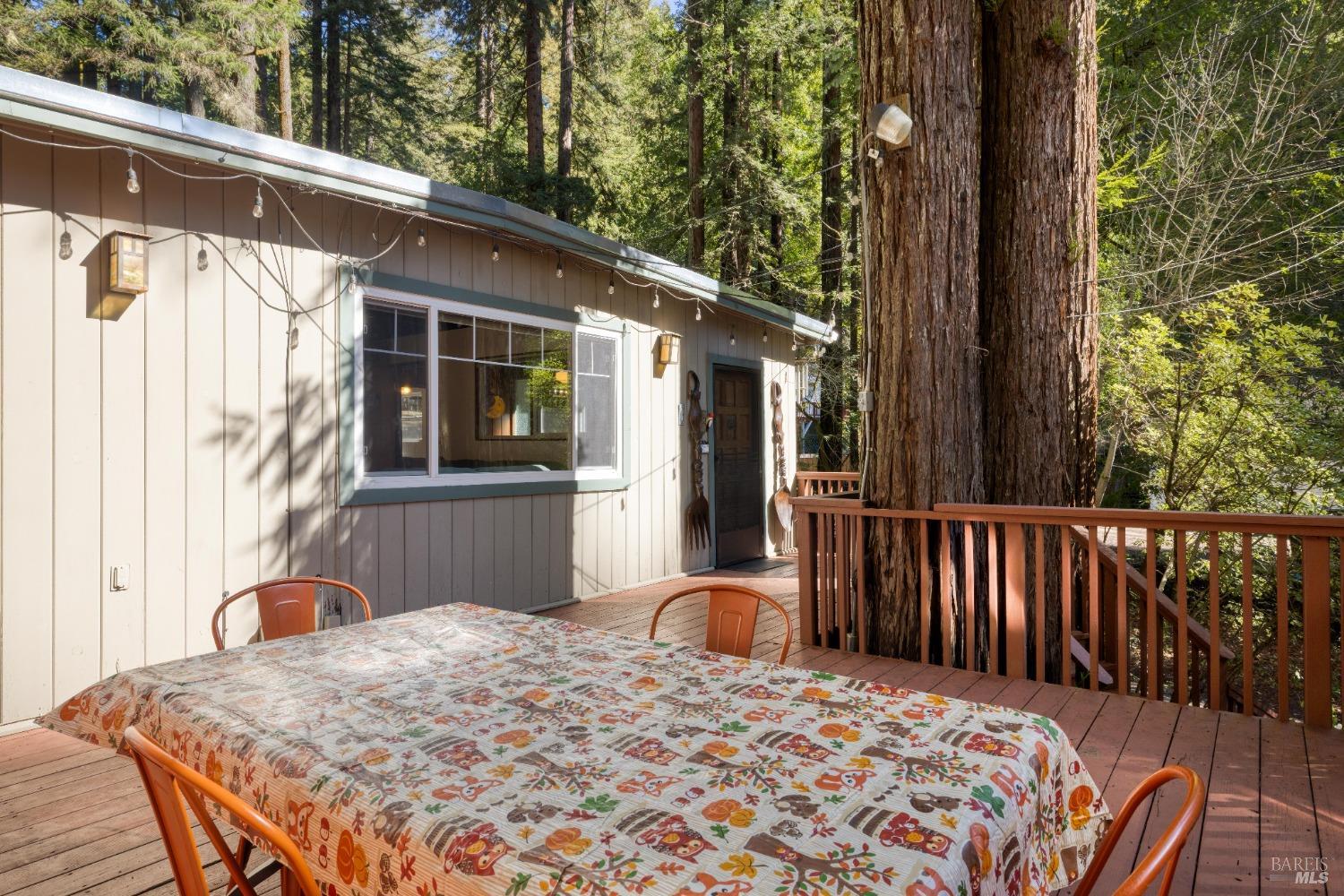 17013 Mount Jackson Trl