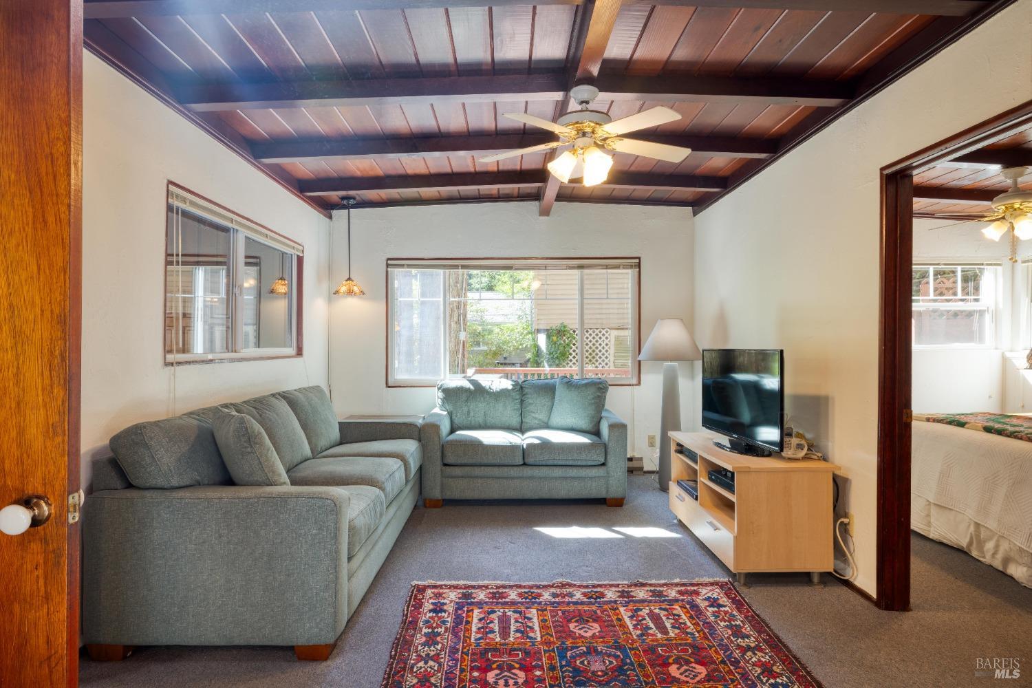 17013 Mount Jackson Trl