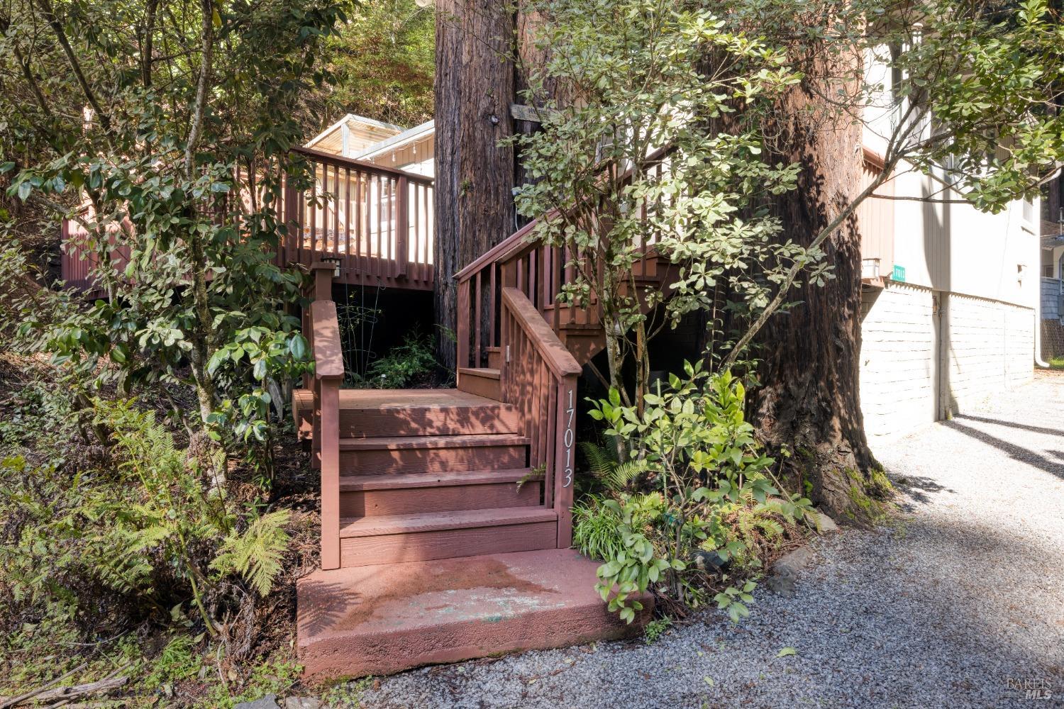 17013 Mount Jackson Trl