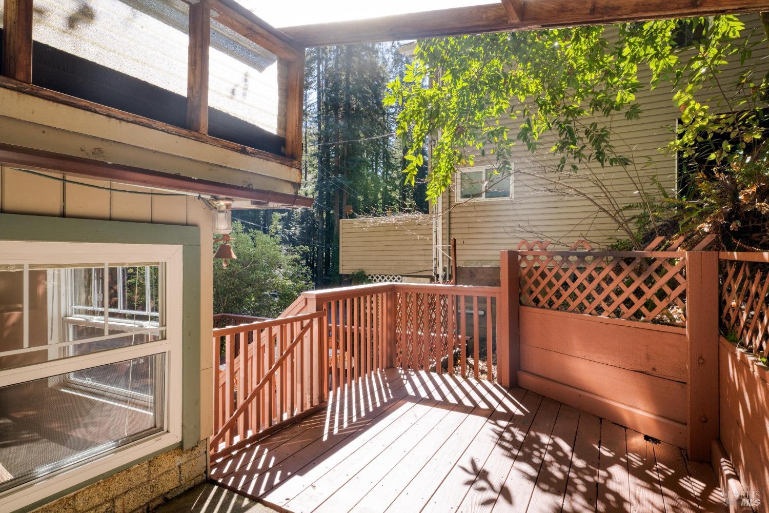 17013 Mount Jackson Trl