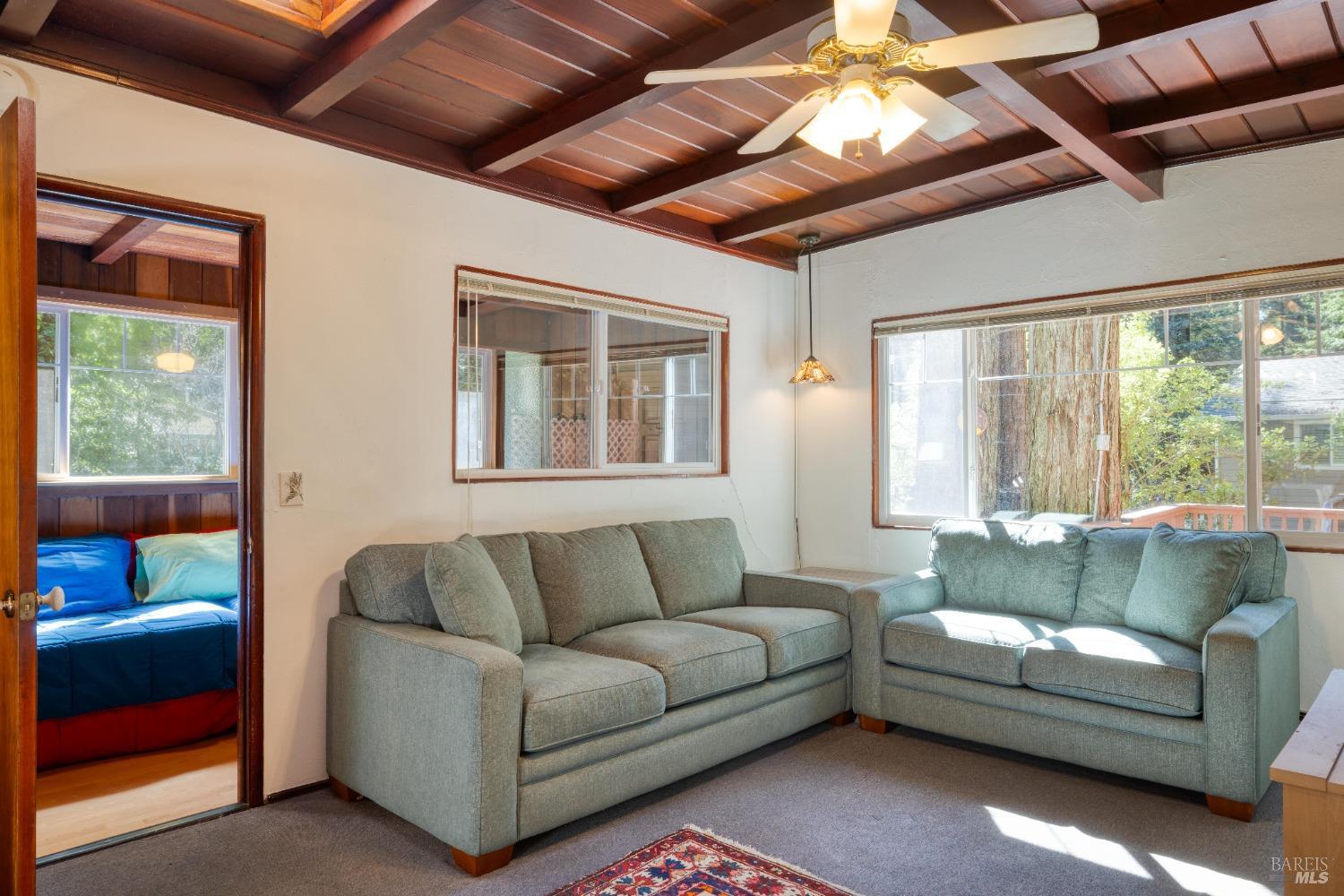 17013 Mount Jackson Trl