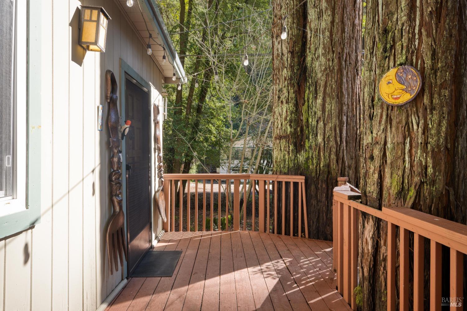 17013 Mount Jackson Trl