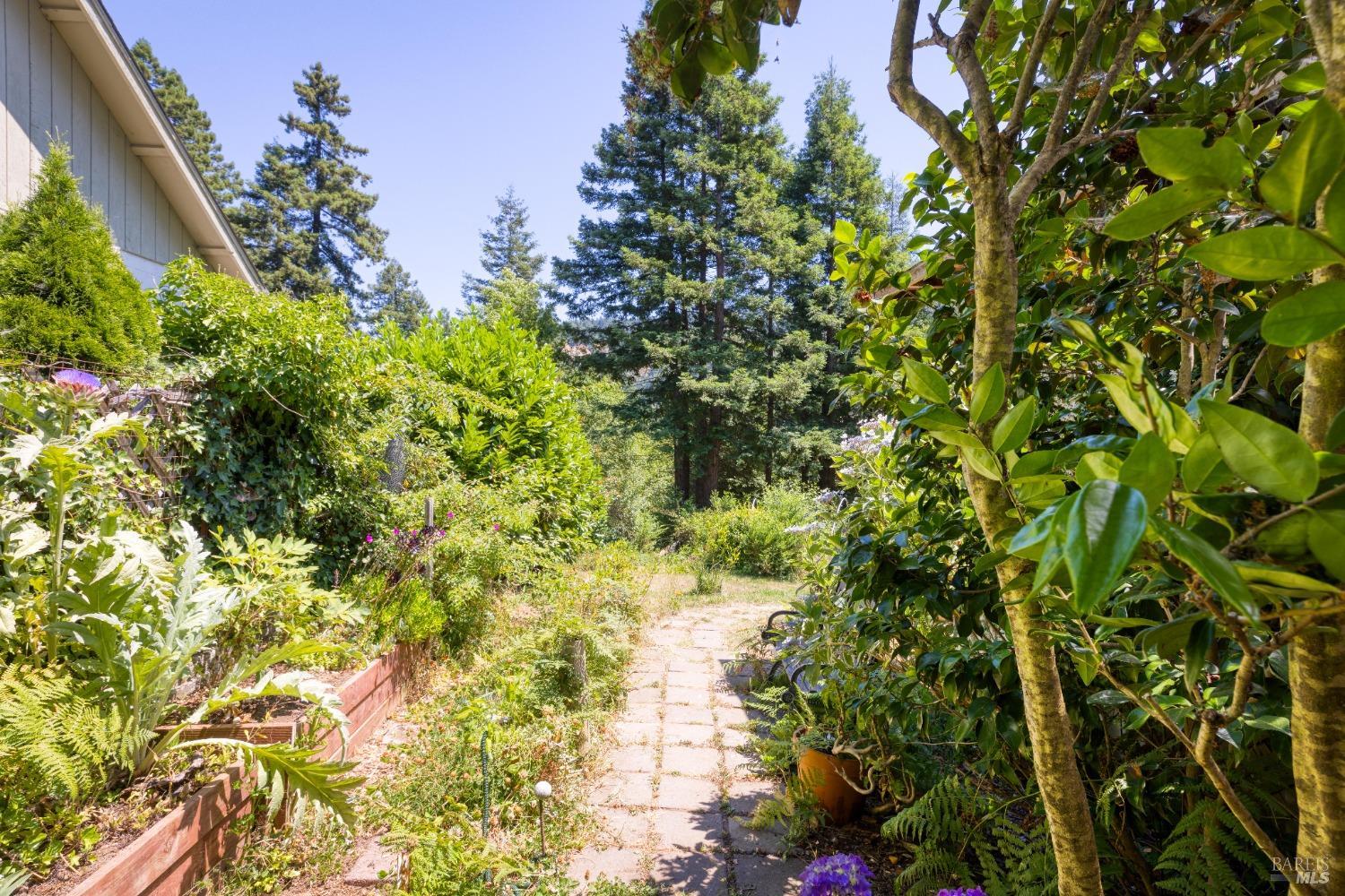 58 Magic Mountain Rd