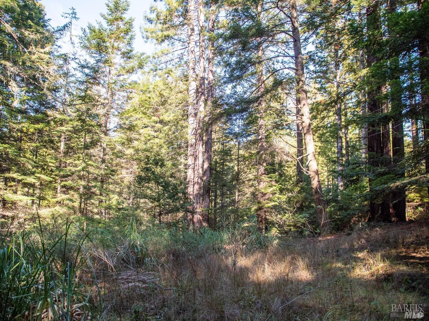 46990 Getchell Gulch Road