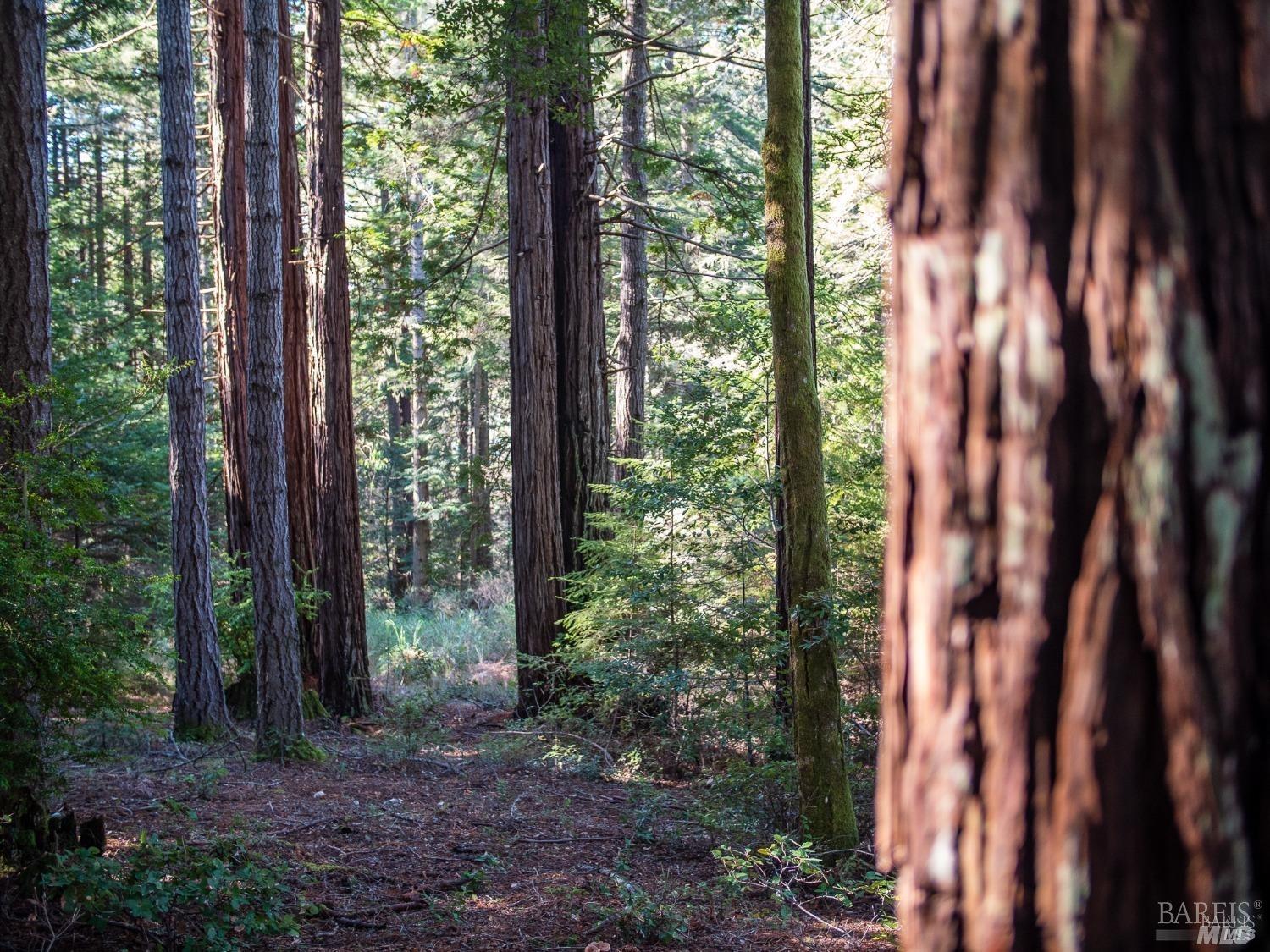 46990 Getchell Gulch Road