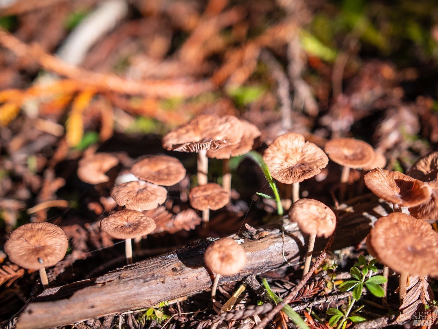 46990 Getchell Gulch Road