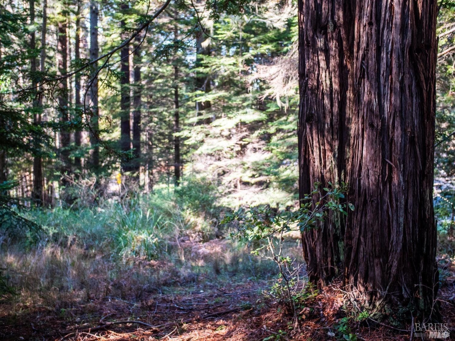 46990 Getchell Gulch Road