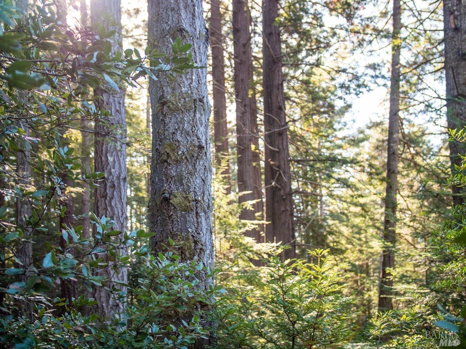 46990 Getchell Gulch Road